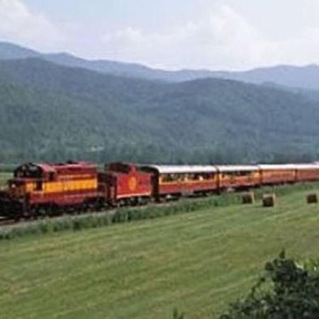 Vila Honeymoon Getaway In Woods Near Noc And Smoky Mtn Rr Bryson City Exteriér fotografie