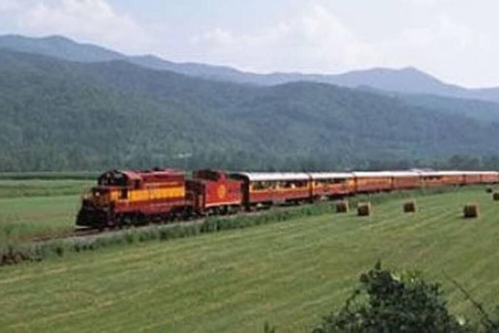 Vila Honeymoon Getaway In Woods Near Noc And Smoky Mtn Rr Bryson City Exteriér fotografie